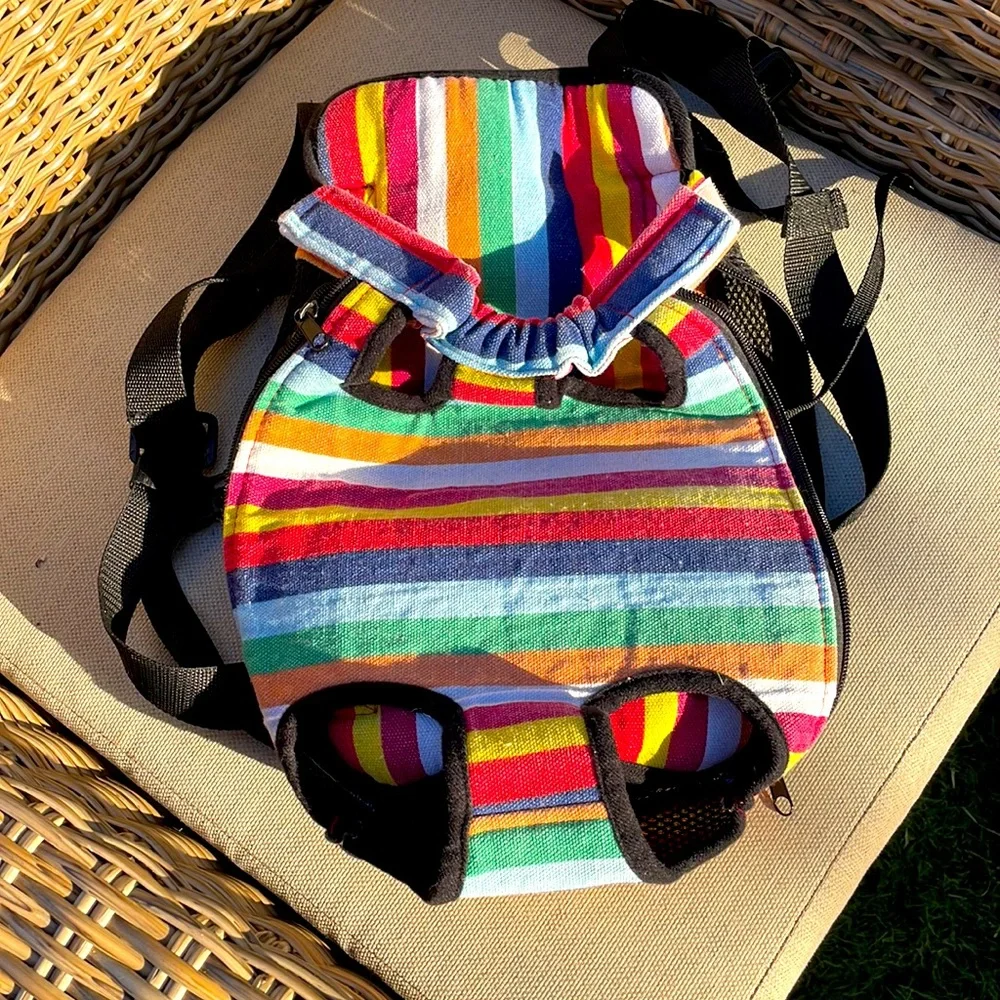 Small pet front carrier